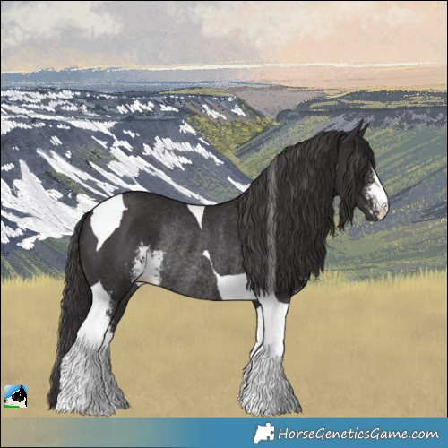 Horse Color:Smoky Black Sabino Tobiano Rabicano 