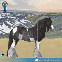 Horse Color:Smoky Black Sabino Tobiano Rabicano 
