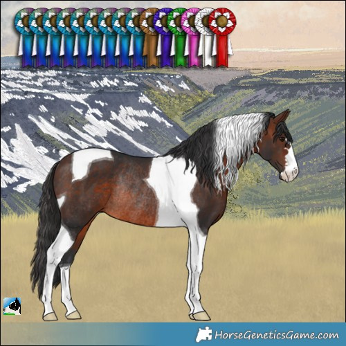 Horse Color:Brown Tobiano Rabicano 