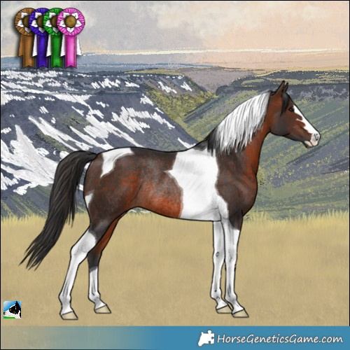 Horse Color:Brown Tobiano Rabicano 