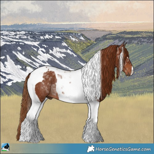 Horse Color:Chestnut Ice Tobiano Rabicano 
