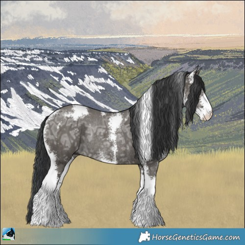 Horse Color:Grullo Ice Sabino Rabicano Brindle 
