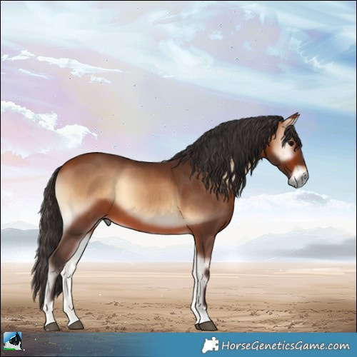 Horse Color:Bay Onyx 