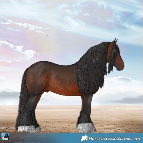 Horse Color:Brown Rabicano 