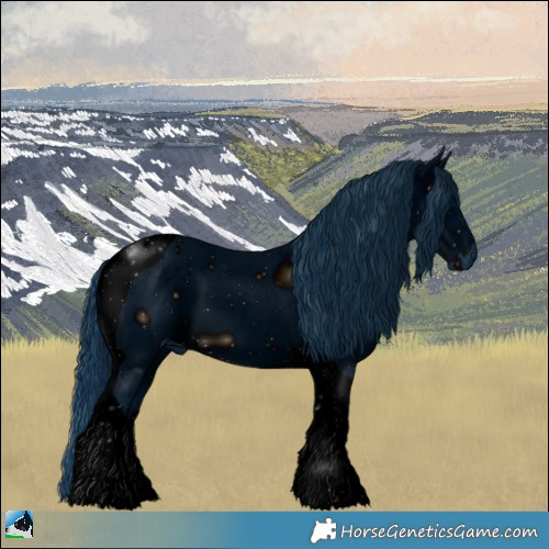 Horse Color:ERROR: UNKNOWN ANOMALY