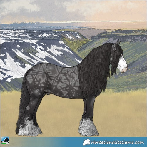 Horse Color:Smoky Black Ice Mushroom Sabino 