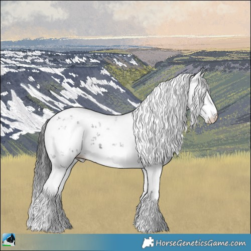 Horse Color:Black Ice Mushroom Sabino 