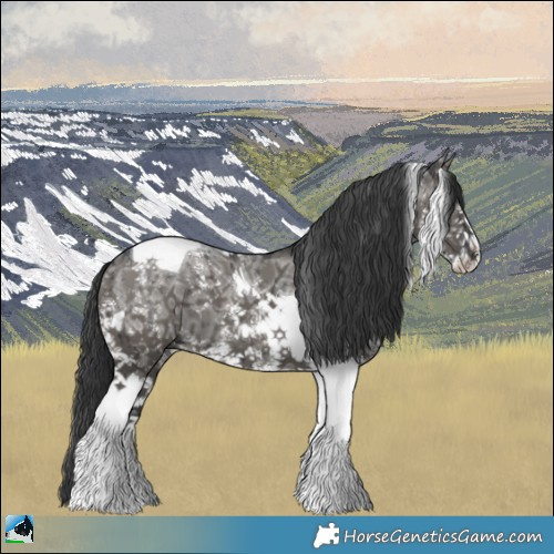 Horse Color:Grullo Ice Mushroom Sabino Tobiano Brindle 