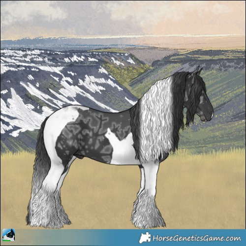 Horse Color:Black Ice Tobiano 