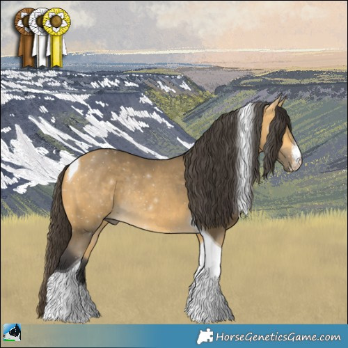 Horse Color:Buckskin Mushroom Sabino Tobiano Rabicano 