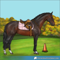 Horse Color:Brown 