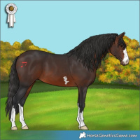Horse Color:Brown 