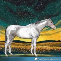 Horse Color:Liver Chestnut Tobiano Rabicano 