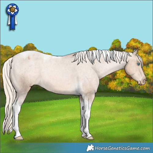 Horse Color:Chocolate Palomino Pearl Tobiano Appaloosa 