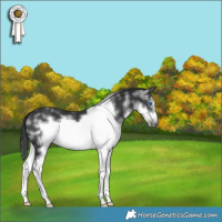 Horse Color:White Spotted Black Frame 
