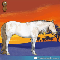 Horse Color:White Spotted Buckskin Snowdrop Dun Tobiano Varnish Rabicano 