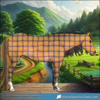 Horse Color:Plaid  Buckskin 