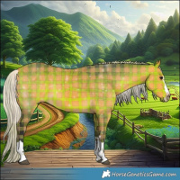 Horse Color:Plaid  Silver Buckskin 