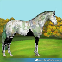 Horse Color:Nacre Watercolor White Spotted Grullo Ice Splash