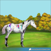 Horse Color:Nacre Watercolor White Spotted Smoky Grullo Ice Pearl 