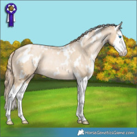 Horse Color:White Spotted Smoky Black Pearl Splash Varnish Rabicano 