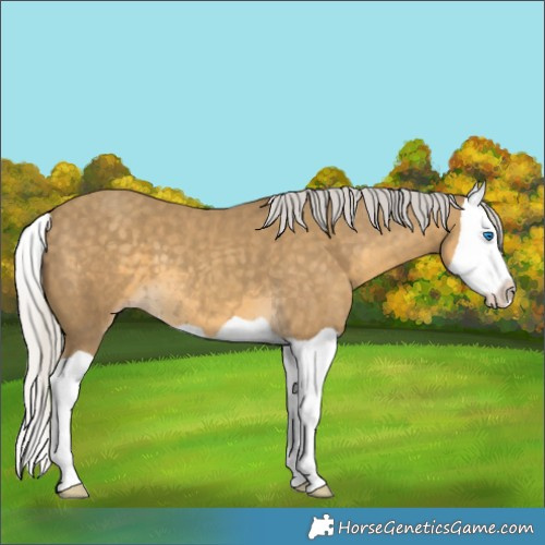 Horse Color:Silver Classic Cream Champagne Splash 