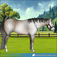 Horse Color:Gray Sable Cream Champagne 