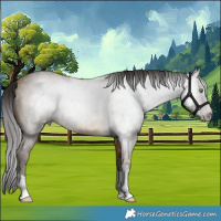 Horse Color:Gray Sable Cream Champagne