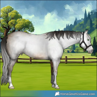 Horse Color:Gray Sable Cream Champagne 