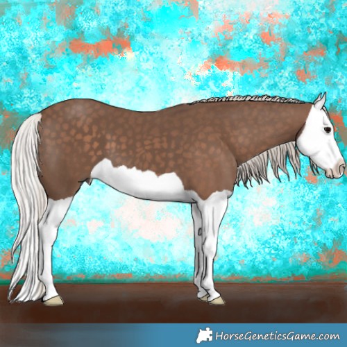 Horse Color:Silver Black Splash 