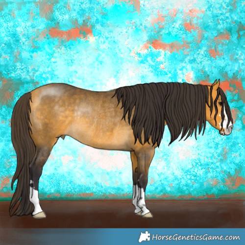 Horse Color:Buckskin Rabicano 