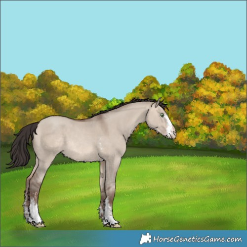 Horse Color:Sable Champagne Dun Sabino 