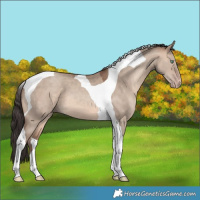 Horse Color:Sable Champagne Dun Tobiano 