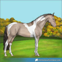 Horse Color:Sable Champagne Dun Tobiano 