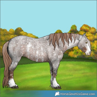 Horse Color:Liver Red Roan Sabino Snowflake VarnishRabicano 