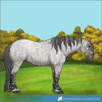 Horse Color:Grullo Roan Snowflake Varnish