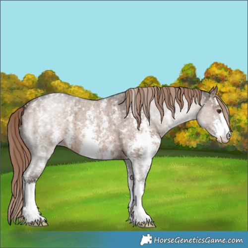 Horse Color:Liver Red Dun Roan Sabino Snowflake VarnishBrindle 