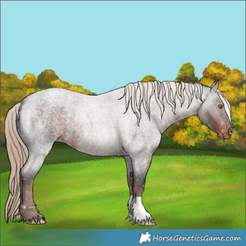 Horse Color:Liver Red Roan Snowflake Varnish 