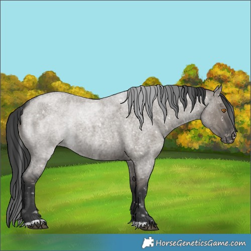 Horse Color:Grullo Roan Snowflake Varnish