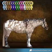 Horse Color:Liver Red Dun Sabino Tobiano Appaloosa Rabicano Brindle 