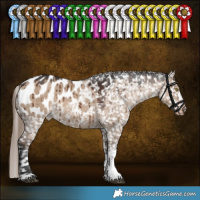 Horse Color:Liver Red Dun Sabino Tobiano Blanket Rabicano Brindle 