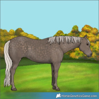 Horse Color:Silver Black 