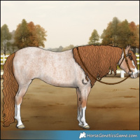 Horse Color:Red Roan 