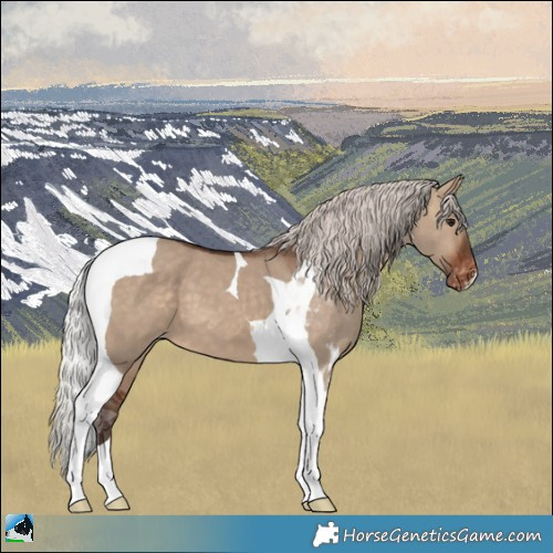 Horse Color:Silver Brown Dun Tobiano Varnish 
