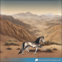 Horse Color:Brown Onyx Sabino Rabicano 