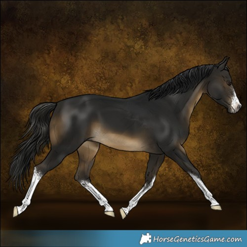 Horse Color:Gray White Spotted Buckskin 