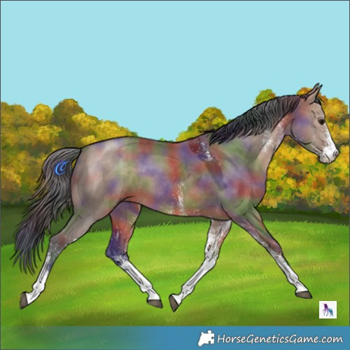 Horse Color:Nacre White Spotted Brown Dun 