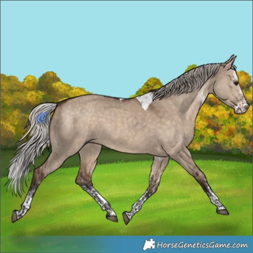 Horse Color:White Spotted Silver Brown Dun Tobiano Rabicano