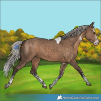 Horse Color:White Spotted Silver Brown Dun Tobiano Rabicano