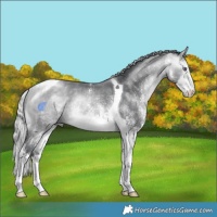 Horse Color:White Spotted Silver Bay Chinchilla Tobiano Rabicano
